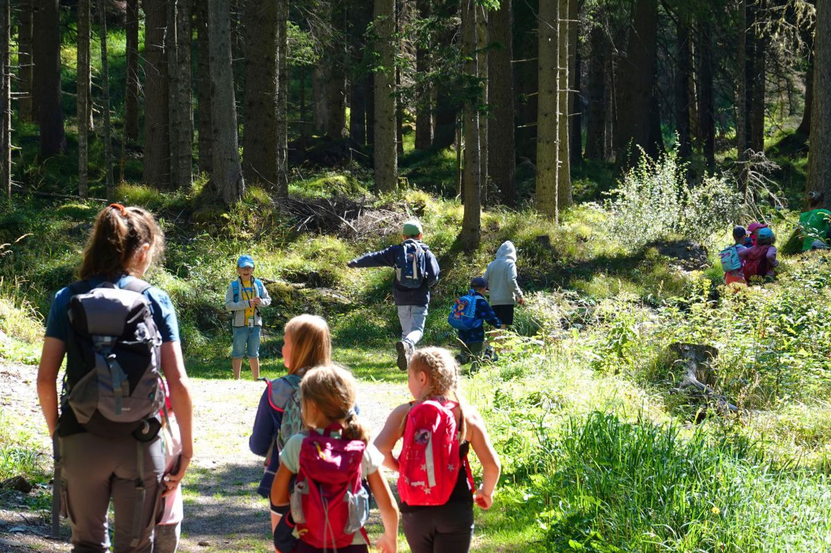 Eine Erwachsene ist mit einer Gruppe Kindern im Wald unterwegs.