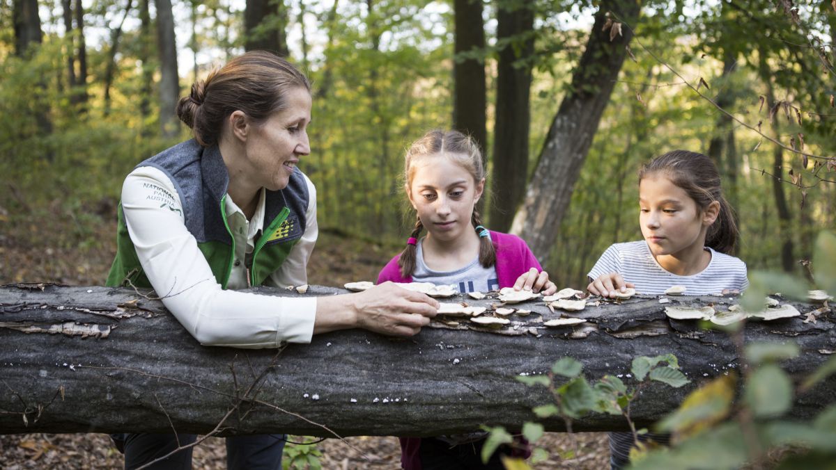 Eine Erwachsene erklärt zwei Kindern etwas zu Pilzen, die auf einem umgestürzten Baum wachsen.