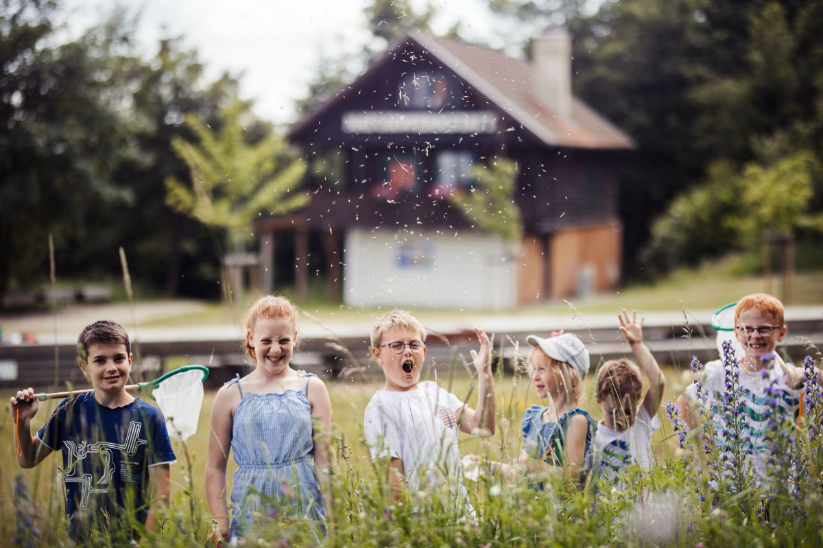 Sechs Kinder stehen im hohen Gras. Eines hat einen Käscher über die Schulter gelegt.