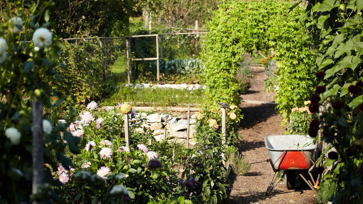 Ein Garten im Frühsommer - alles ist üppig grün, blüht. Mittendrin eine Scheibtruhe. 