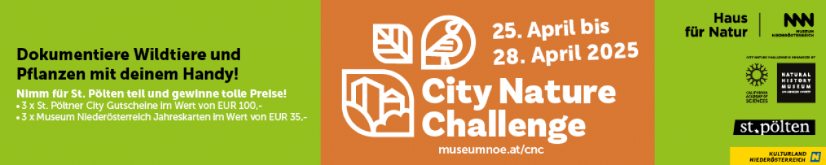 City Nature Challenge - 25. bis 28. April 2025
Dokumentiere Wildtiere und Pflanzen mit deinem Handy!