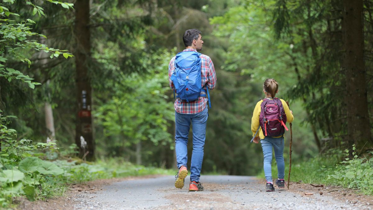 Ein Vater und ein Kind wandern im Wald auf einem Forstweg. Das Kind hat einen Stecken in der Hand.