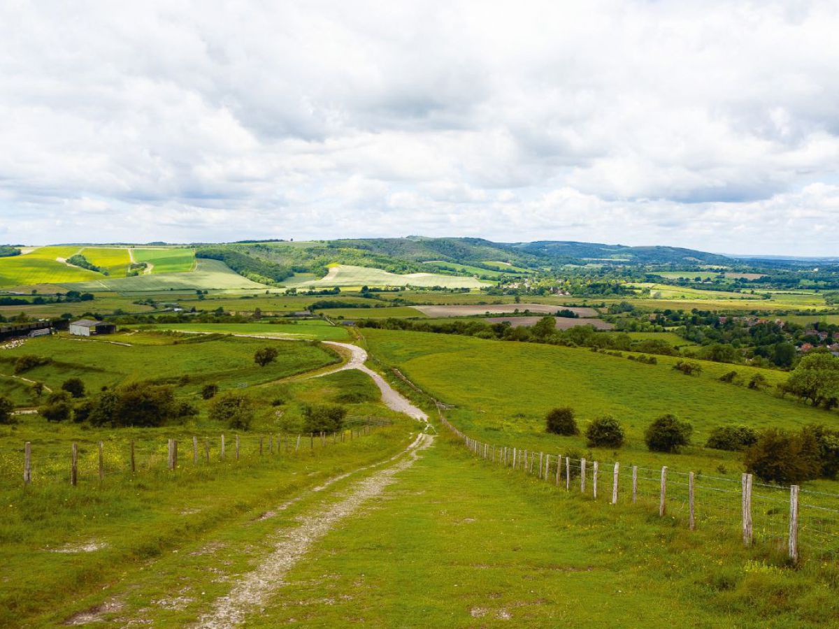 Landschaft mit grünen Wiesen, Weiden, Baumgruppen, Hügel in am Horizont, der Himmel heiter bewölkt.