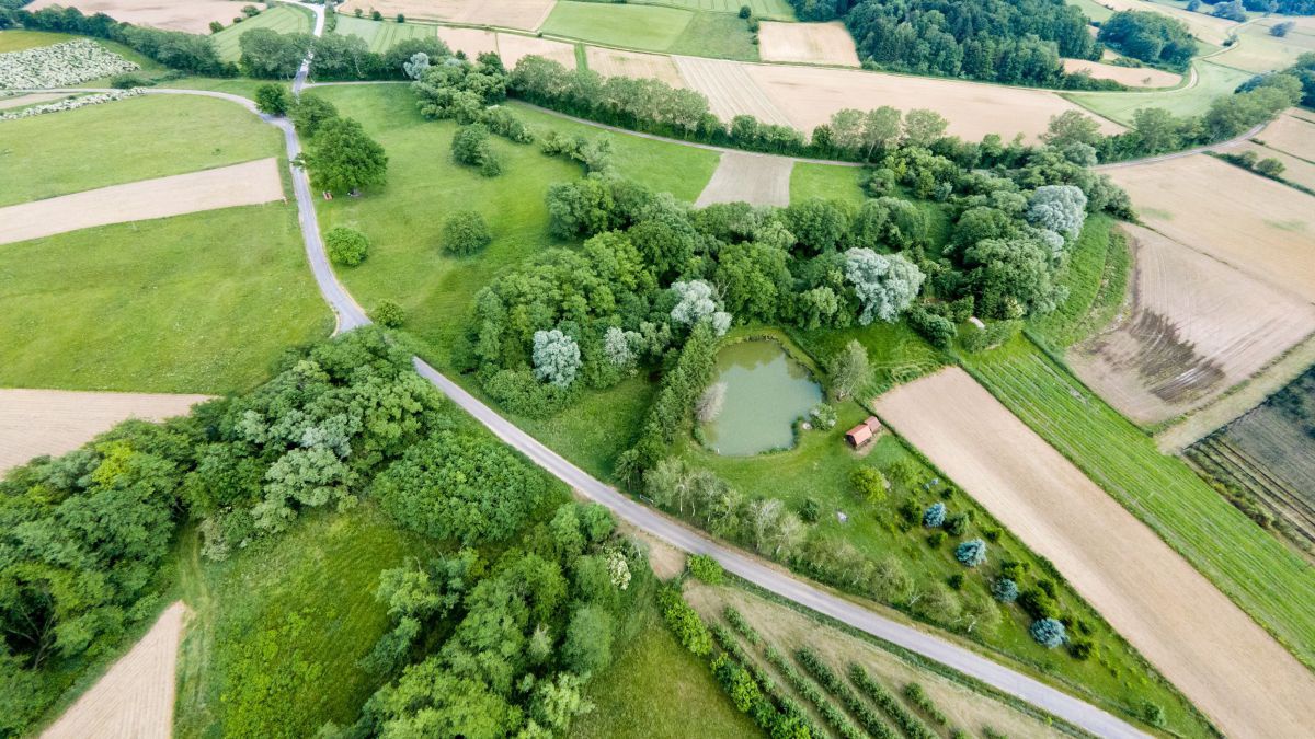 Eine Luftaufnahme einer Landschaft, in der sich Felder, Wälder und ein kleiner Teich befinden. Alles ist grün und einladend.