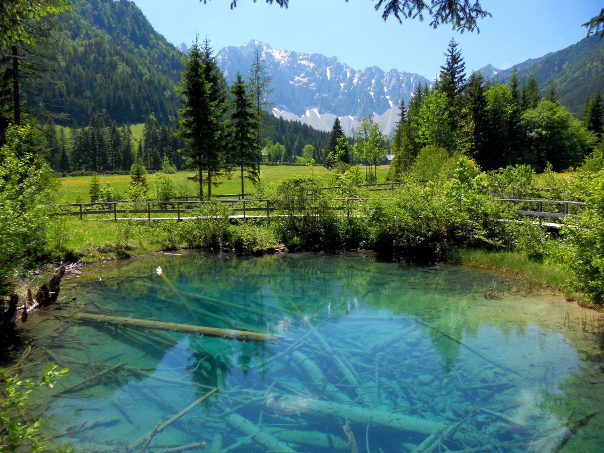 Ein türkiser Teich mit unglaublich klarem Wasser, umgeben von grüner Landschaft, im Hintergrund die Berge.