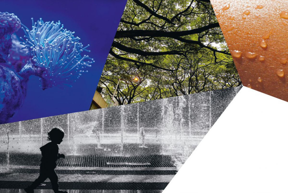 Collage aus 4 Fotos: Eine Koralle unter tiefblauem Wasser, belaubte Äste eines Baumes, Schweißperlen auf Haut und eine Schwarzweißaufnahme eines Kleinkindes, das um einen Springbrunnen herumläuft.