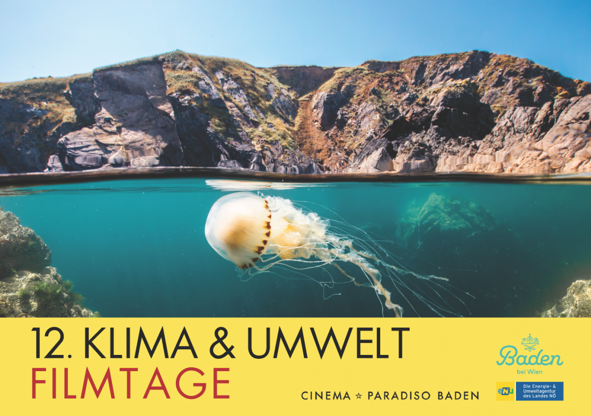 Das Foto zeigt eine Landschaft halb unter und halb über Wasser. Unter Wasser schwimmt eine Qualle knapp unter der Oberfläche. Darüber sieht man im Hintergrund das gebirgige Ufer vor ungetrübtem Himmel. Text: 12. KIMA & UMWELT FILMTAGE, Cinema Paradiso Bad