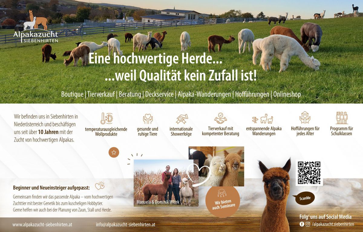 Flyer der Alpakazucht Siebenhirten