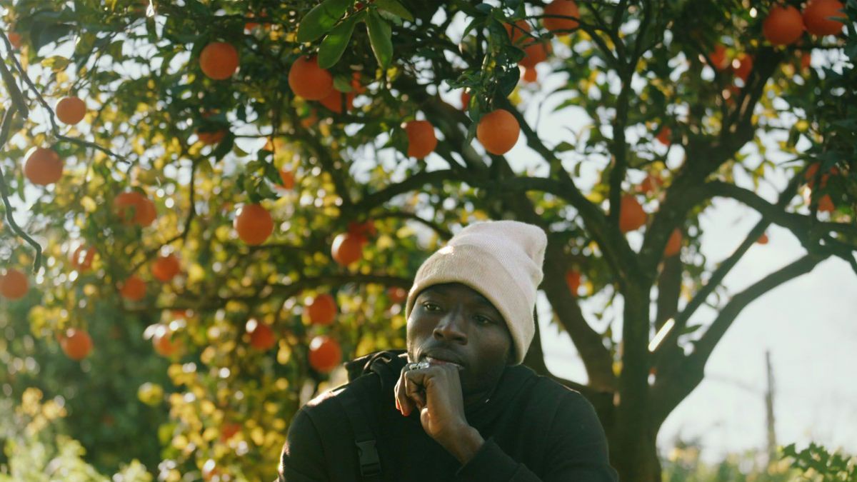 Ein junger schwarzer Mann sitzt unter einem Baum voller Orangen. Er trägt einen schwarzen Hoodie und eine weiße Mütze.