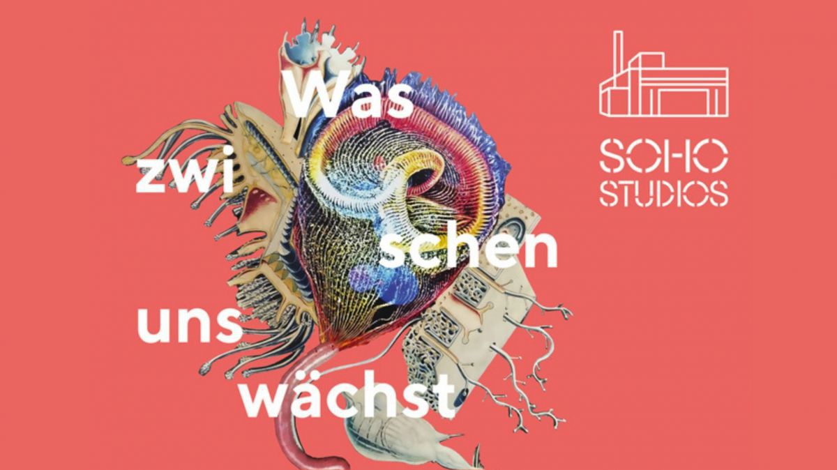 Vor einem lachsfarbenen Hintergrund ist eine Zeichnung, von lebendigen, meerestierartigen Strukturen. Darum geflochten steht 