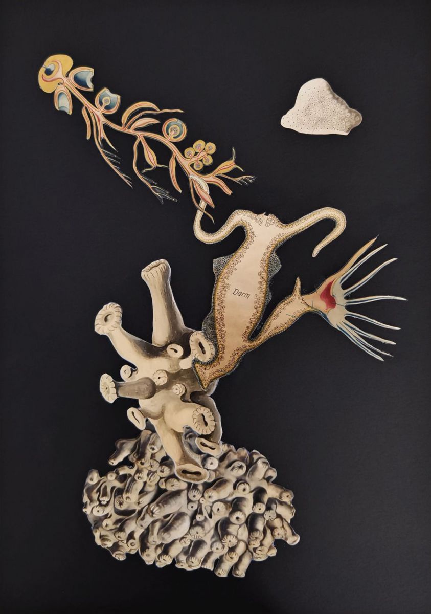 Eine wissenschaftlich anmutende Zeichnung lebendiger, korallenartiger Strukturen vor schwarzem Hintergrund.