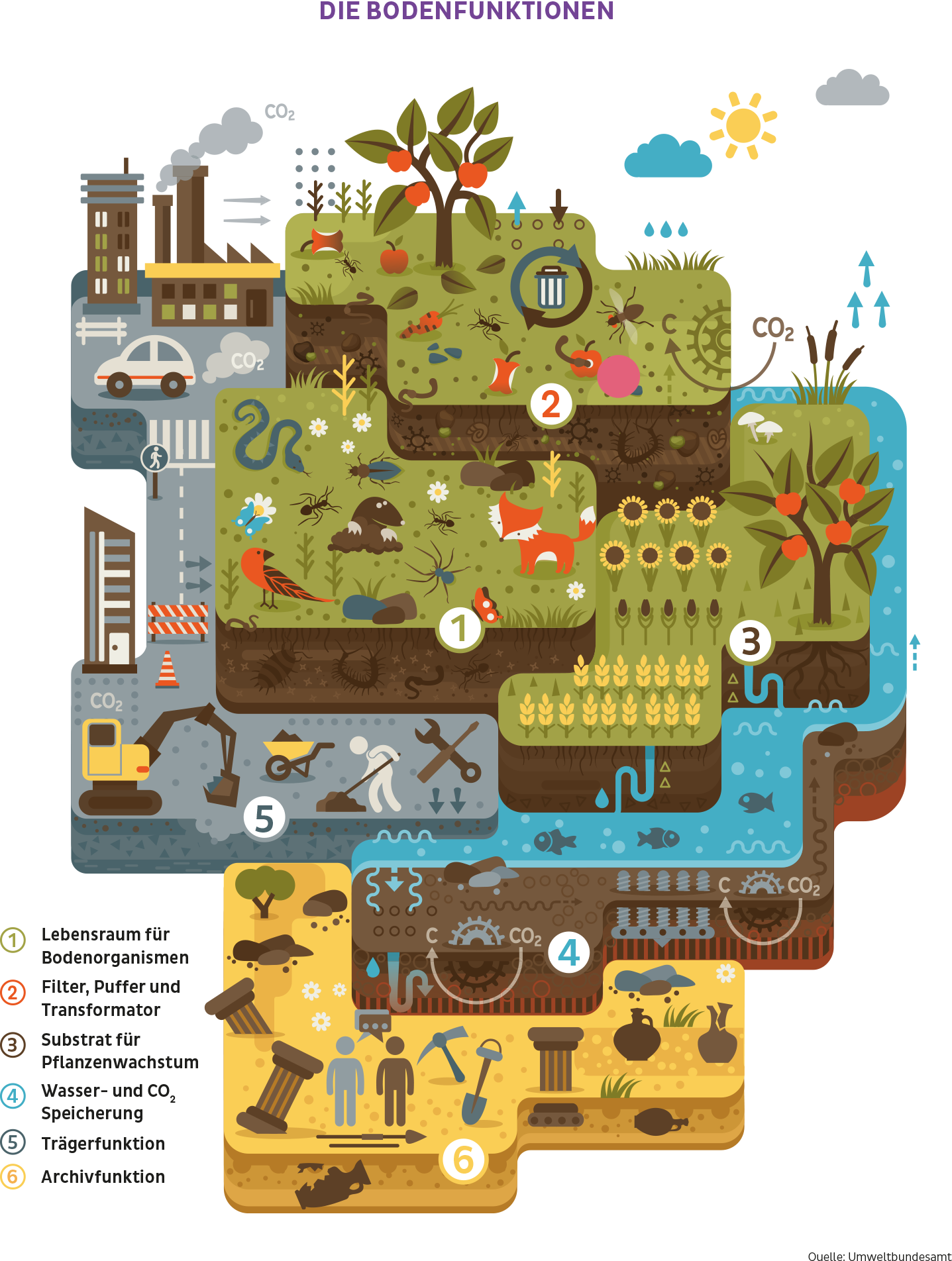 Grafik Bodenfunktionen: 
1. Lebensraum für Bodenorganismen
2. Filter, Puffer und Transformator
3. Substrat für Pflanzenwachstum
4. Wasser- und CO2 Speicherung
5. Trägerfunktion
6. Archivfunktion