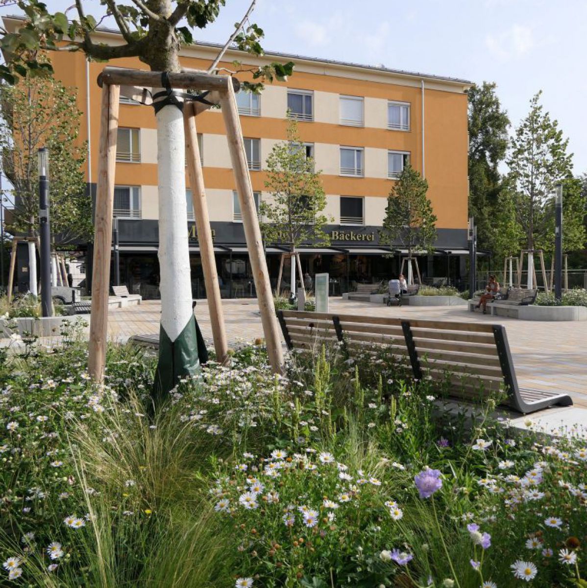 Blick auf einen gepflasterten Stadtplatz mit Grünelementen. Im Bildvordergrund blühen hochstehende Wiesenblumen hinter einer Parkbank, ein junger Baum mit Stütze wächst auch dazwischen.