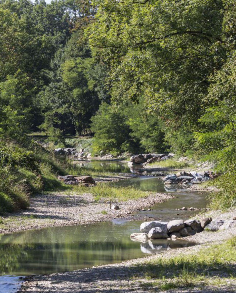 Ein kleiner, seichter Fluss schlängelt sich durch eine sommerliche Landschaft. Das Flussbett ist von Kies und größeren Steinen gesäumt, das Ufer reich mit Gras, Sträuchern und Bäumen bewachsen.