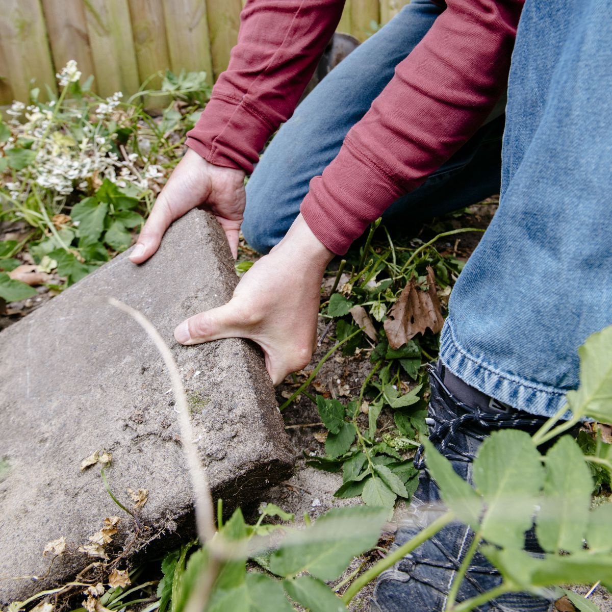 Eine Frau bei der Gartenarbeit, sie hebt gerade mit beiden Händen einen quadratischen Pflasterstein aus der Erde.
