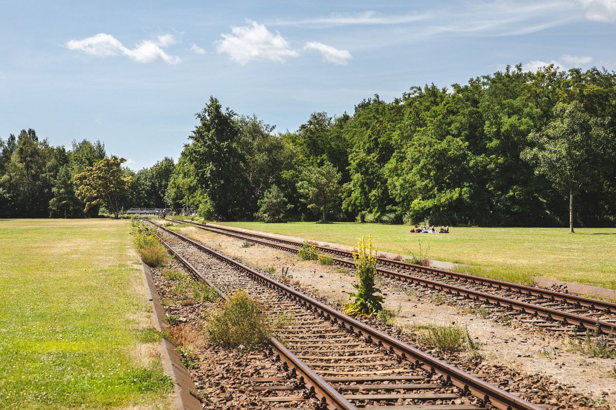 Durch einen riesigen Park  ziehen sich die Geleise einer stillgelegten Bahnlinie. Zwischen Holz und Stahl wachsen Gräser und blühende Pflanzen aus dem Schotter.