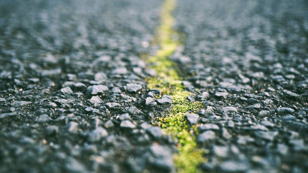 Eine Detailaufnahme eines Risses im Asphalt einer Straße in dem Moos wächst.