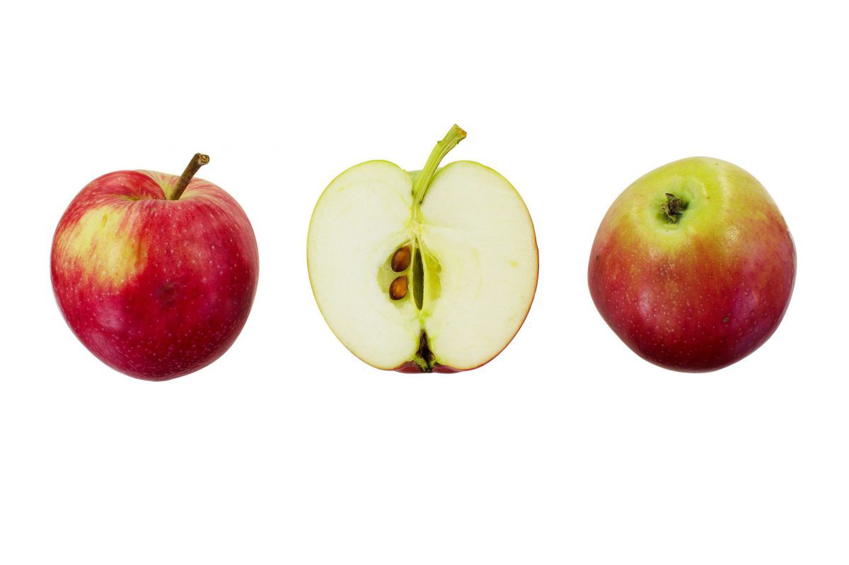 Ein typischer Apfel, rot mit gelbgrünen Fleck, einmal ganz, einmal aufgeschnitten mit hellem Fruchtfleisch.