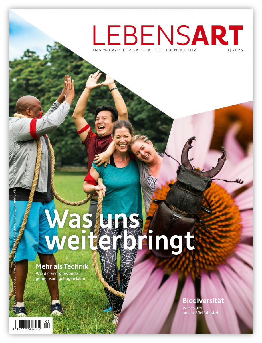 Das Cover der LEBENSART 3/2026: links eine Gruppe Erwachsener beim Seilziehen, sie lachen und freuen sich über den gemeinsamen Sieg. Rechts ein Hirschkäfer auf einer Echinaceablüte. Titel: Was uns weiterbringt.
