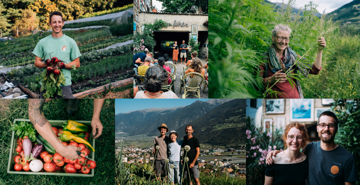 Collage aus 6 Fotos zeigen verschiedene Bäuer*innen die auf ihrem Hof, ihrer Wiese, Feld oder mit ihrer Ernte posieren.