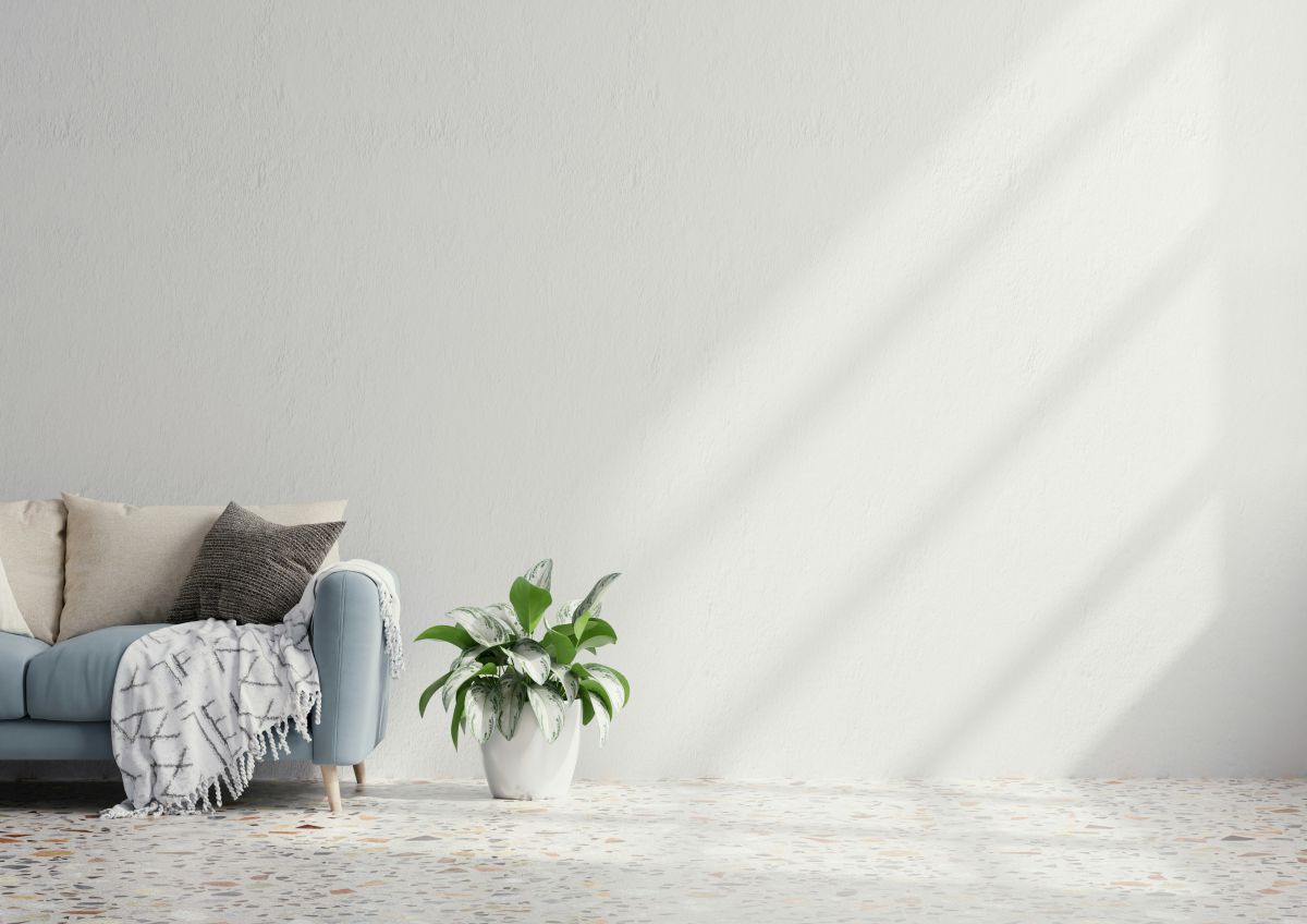 Eine Wand an der ein Sofa und eine Pflanze stehen. Von der Seite fällt Sonnenlicht herein.