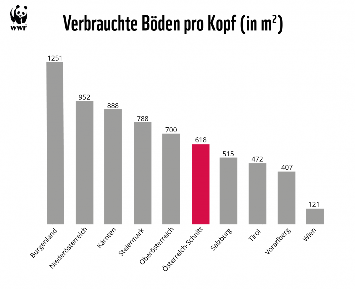 Eine Balkengrafik, auf der der Bodenverbrauch pro Kopf pro Bundesland und im Österreich-Schnitt eingetragen ist.