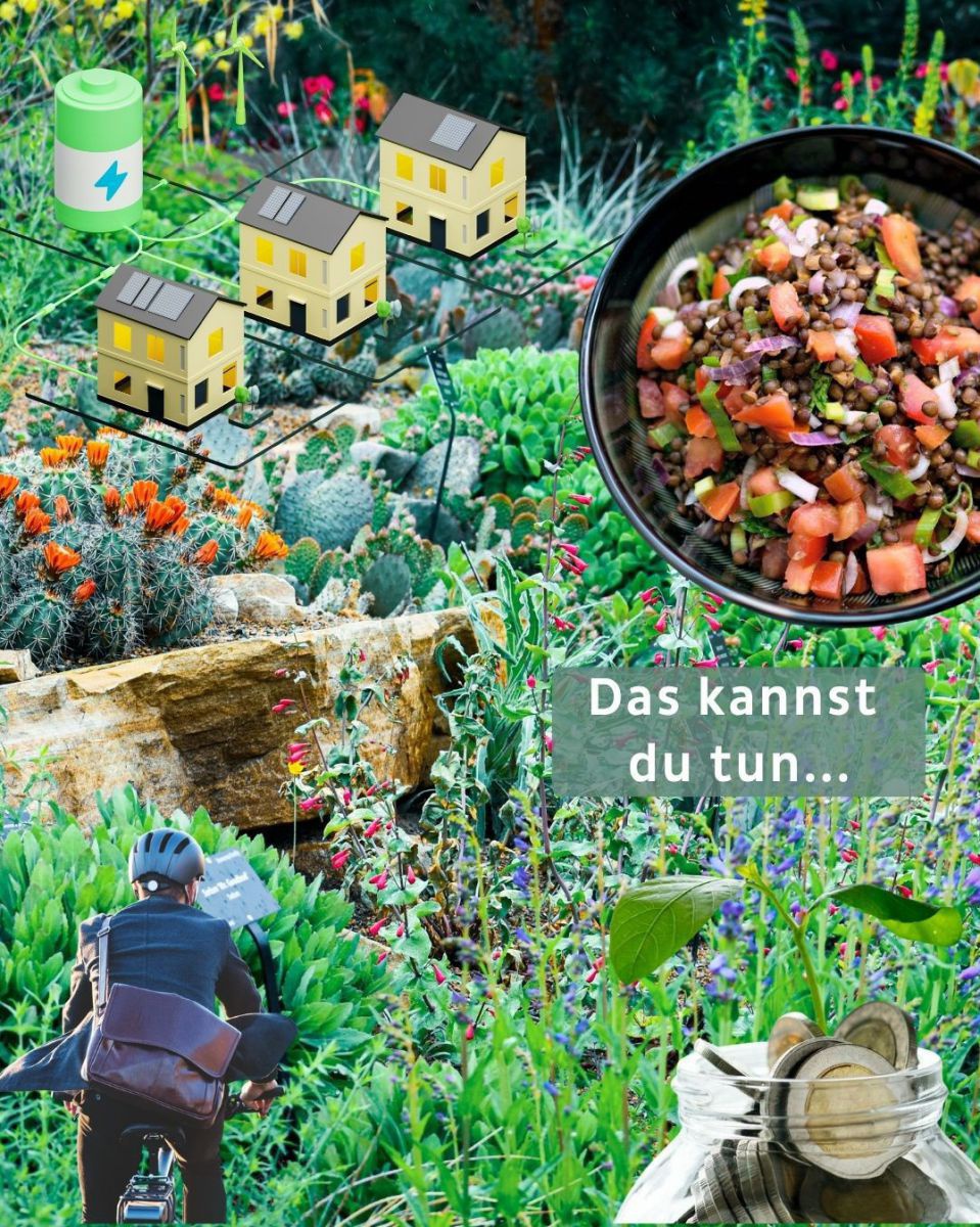 Am foto sieht man Pflanzen und Blumen im Hintergrund, darüber fotos von einem Radfahrer, Geldmünzen, ein Linsengericht und Häuser mit PV-anlage und Speicher
