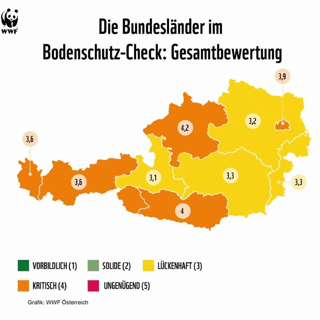 Eine schematische Karte von Österreich, auf der die Gesamtbewertungen der Bundesländer eingetragen sind.